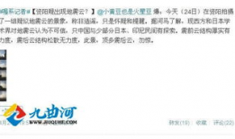 资阳记者爆料最新消息,揭秘事件背后惊人真相